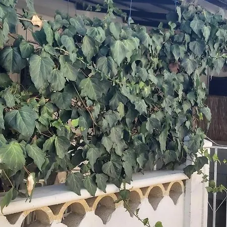 Villetta A 300 M Dal Mare Ferienhaus *